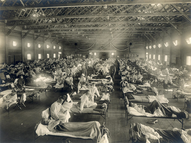 Spanish Flu