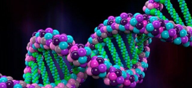 Se anuncia el primer borrador del humano genoma