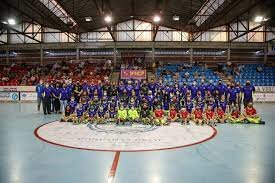 Creació Igualada Femení Hoquei Club Patins