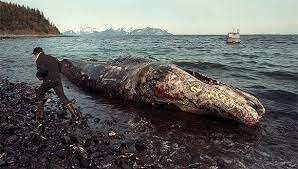 Derrame de Exxon Valdez en Alaska
