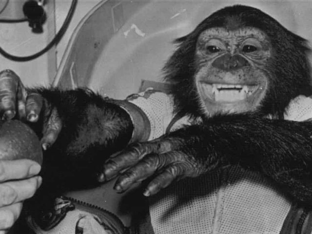First animal in space by USA