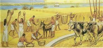 SE FORTALECE LA ECONÓMIA