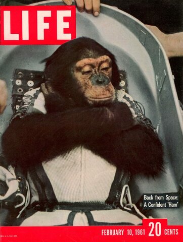 First animal in space by USA (Ham the chimp