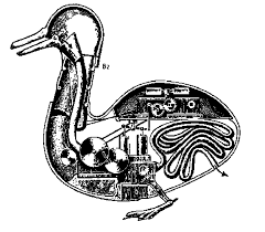 Le canard de Vaucanson