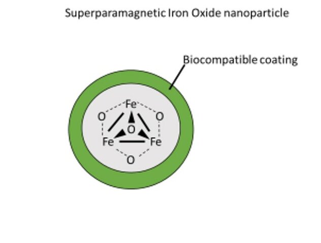 Uso de nanopartículas superparamagneticas de óxido de hierro (SPIONs) a través de múltiples modalidades de imagen y modificaciones para reducir la citotoxicidad