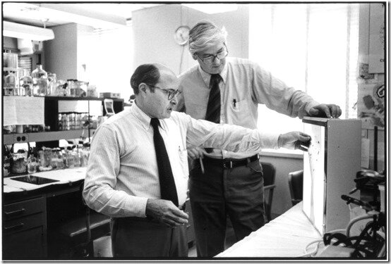 Smith y Wilcox - Secuenciación del ADN