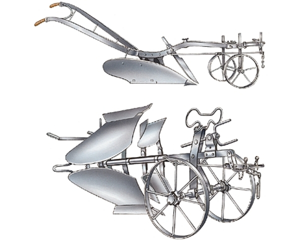 Development of the Carruca