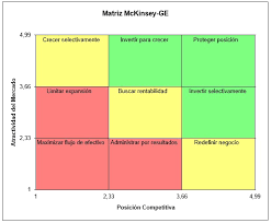 MATRIZ MCKINSEY