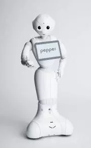 Pepper is created