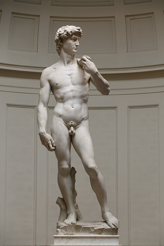 The David unveiled