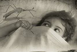 Lanzamiento del programa mundial de lucha contra el pian,