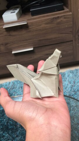 Desarrollo en la secundaria