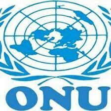 Organización de las Naciones Unidas “ONU”