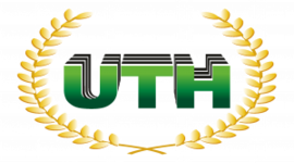 Timeline: Reina Marina Yanez Henriquez 202210010934