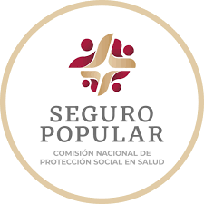 Protección social de la salud