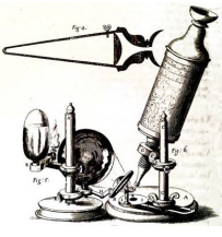 Robert Hooke.
