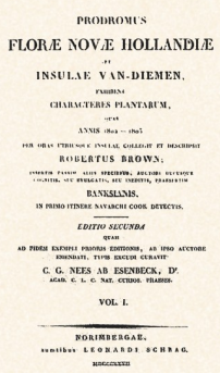 Brown: Nucli cèl·lules vegetals.