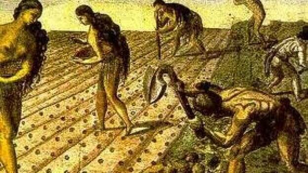 Descobriment de l'agricultura