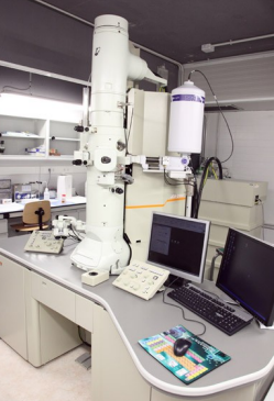 Microscopis electrònics actuals.