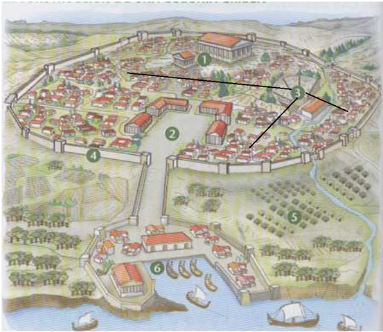 Aparición de las ciudades-estado ( POLIS )