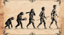 Timeline: L'evolució humana