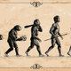 Evolucion del hombre dstntc