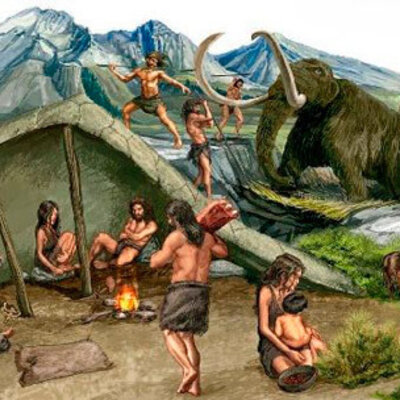 Timeline: L'ARBRE DE L'EVOLUCIÓ HUMANA