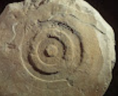 Larraganenako hilarria