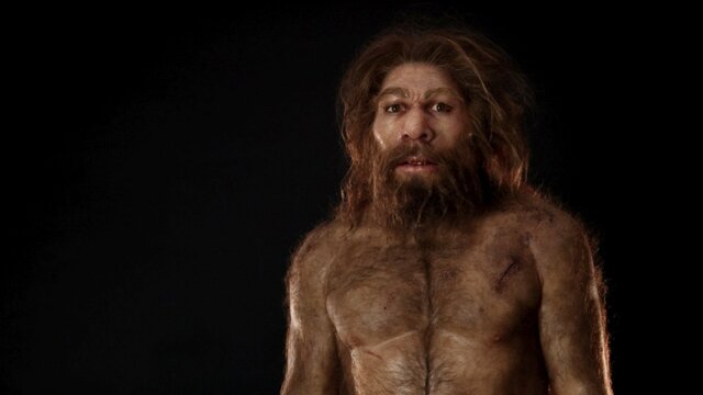 Homo neanderthalensis