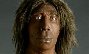 Homo neanderthalensis