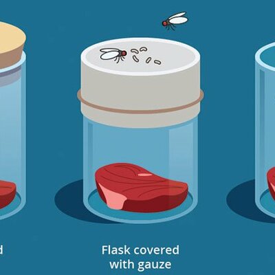 Timeline: Spontaneous generation, by Roc Escolar