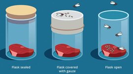 Timeline: Spontaneous generation, by Roc Escolar