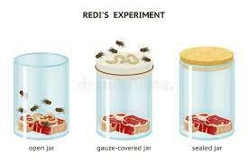 Francesco Redi's (experiment)