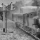 Thomas