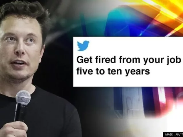 Elon Musk is fired from Paypal