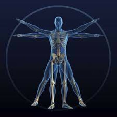 Timeline: Biomecánica