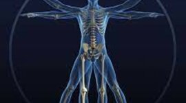 Timeline: Biomecánica