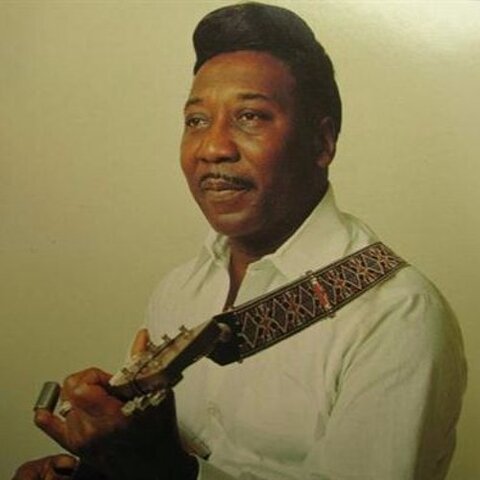 Muddy Waters