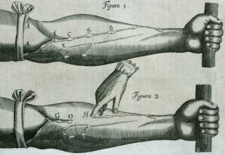 Discovery of the Circulatory System