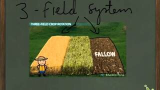 Three-Field system generated