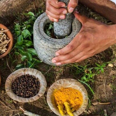 Timeline: Historia de la Herbolaria