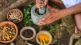 Timeline: Historia de la Herbolaria