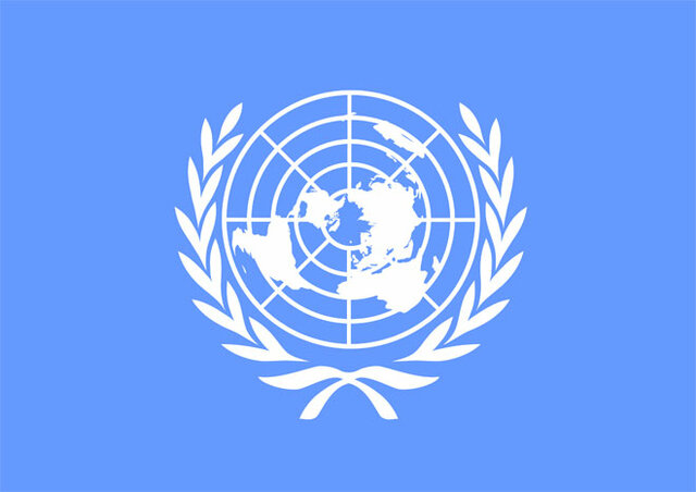 Organización de las Naciones Unidas