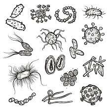 Germ Theory