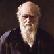Charles darwin 2