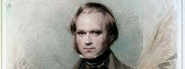 H.M.S. Beagles Five Year Voyage Around Globe