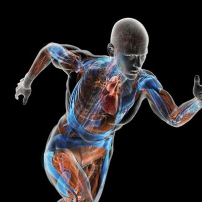 Timeline: HISTORIA DE LA BIOMECANICA