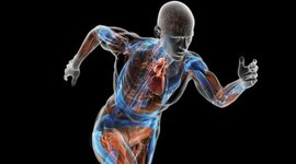 Timeline: HISTORIA DE LA BIOMECANICA