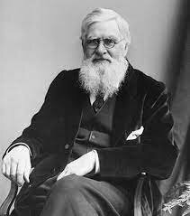 Book Origin of Species