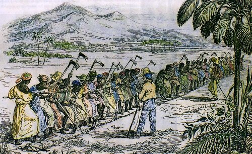 La economía del nuevo reino de granada